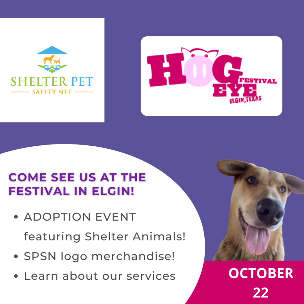 Elgin Hogeye Festival Shelter Pet Safety Net